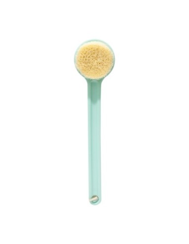 Brosse pour le Corps Verte