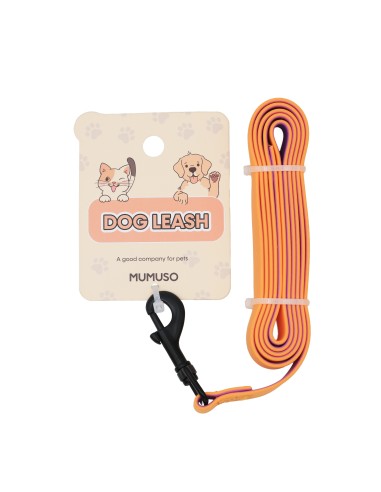 Laisse Orange Simple pour Chien